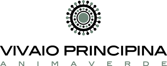 sponsor san rocco festival